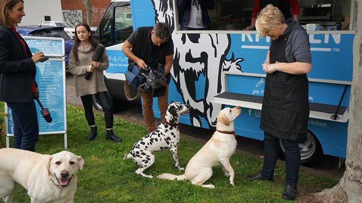 「汪！老闆來一盤肉吧！」澳洲推出專為狗狗服務的快餐車